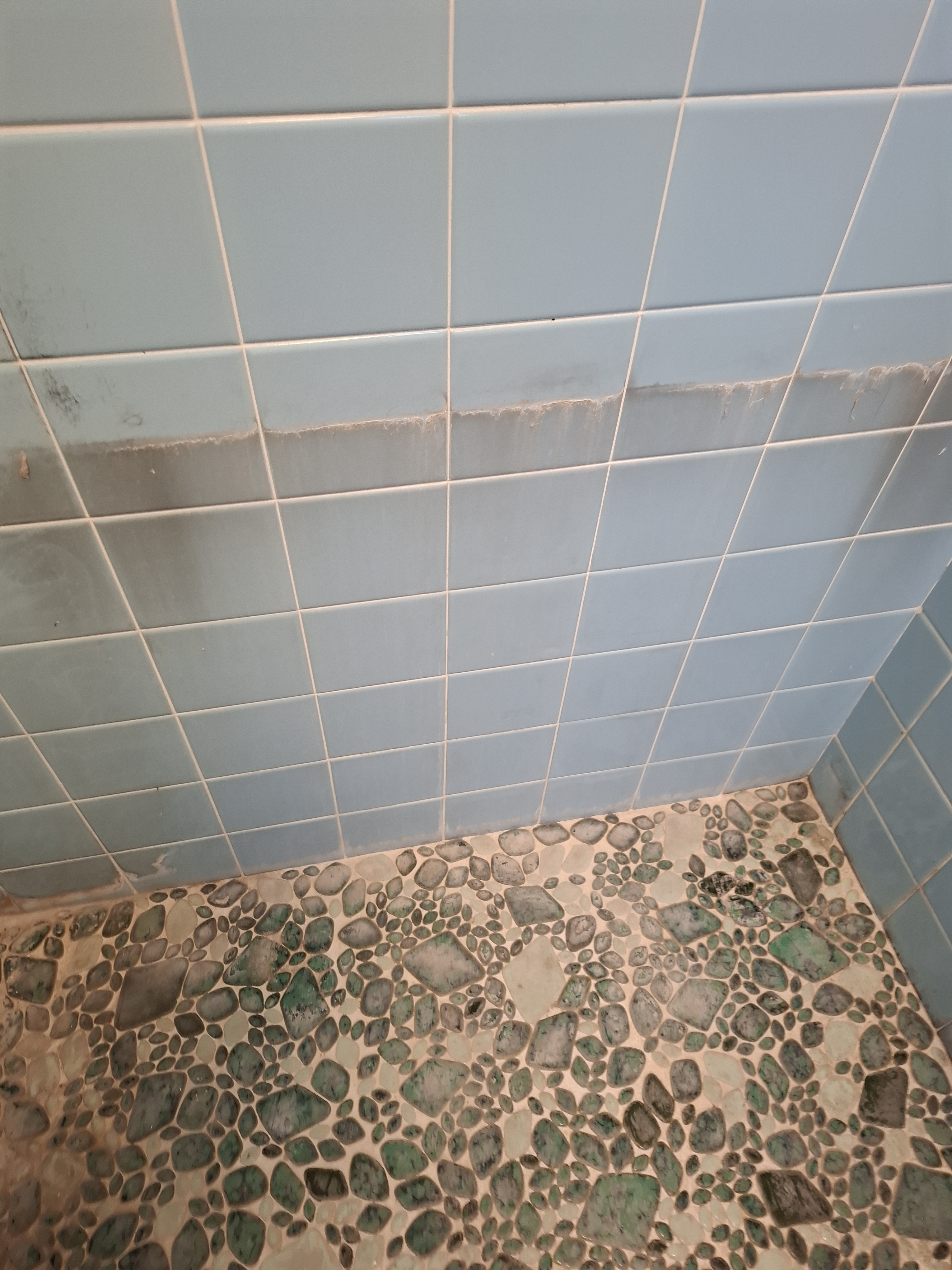 blog114-2
